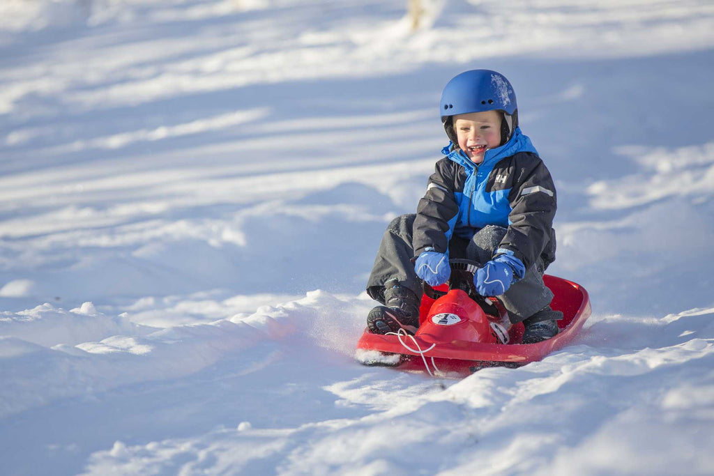 Sno Formel red